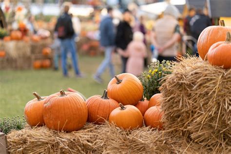 64 Fall Festivals and events coming to Chicagoland this autumn